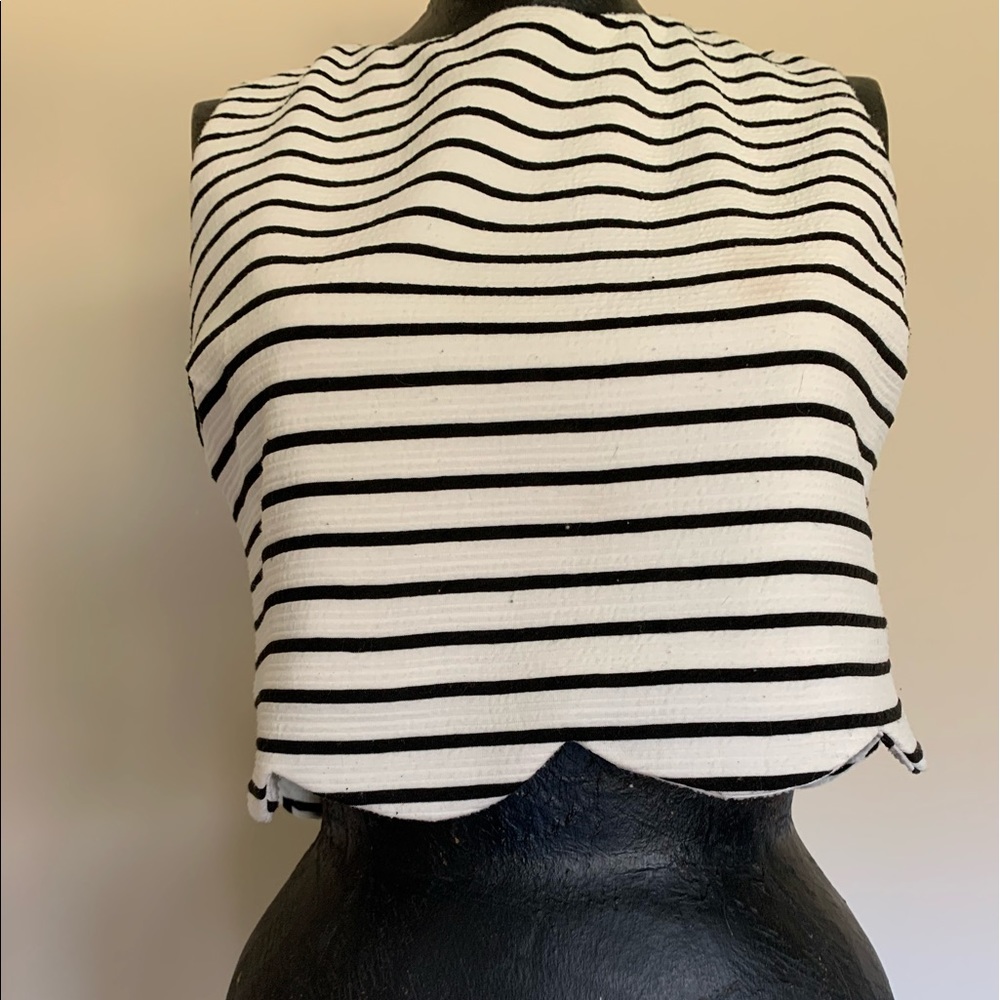 Design Lab Crop Top - Picture 3 of 4